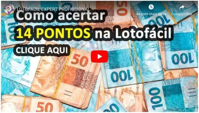 lotofacil expert profissional